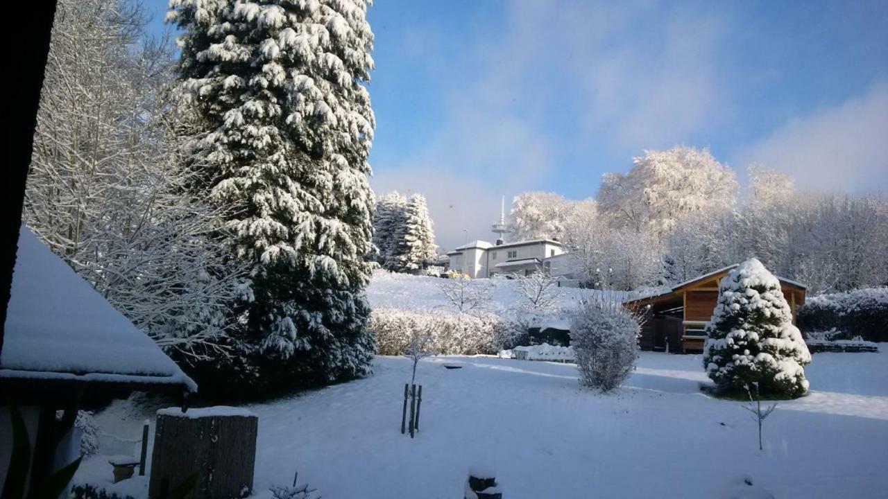 Ferienhaus Rosemarie Breungeshain Extérieur photo